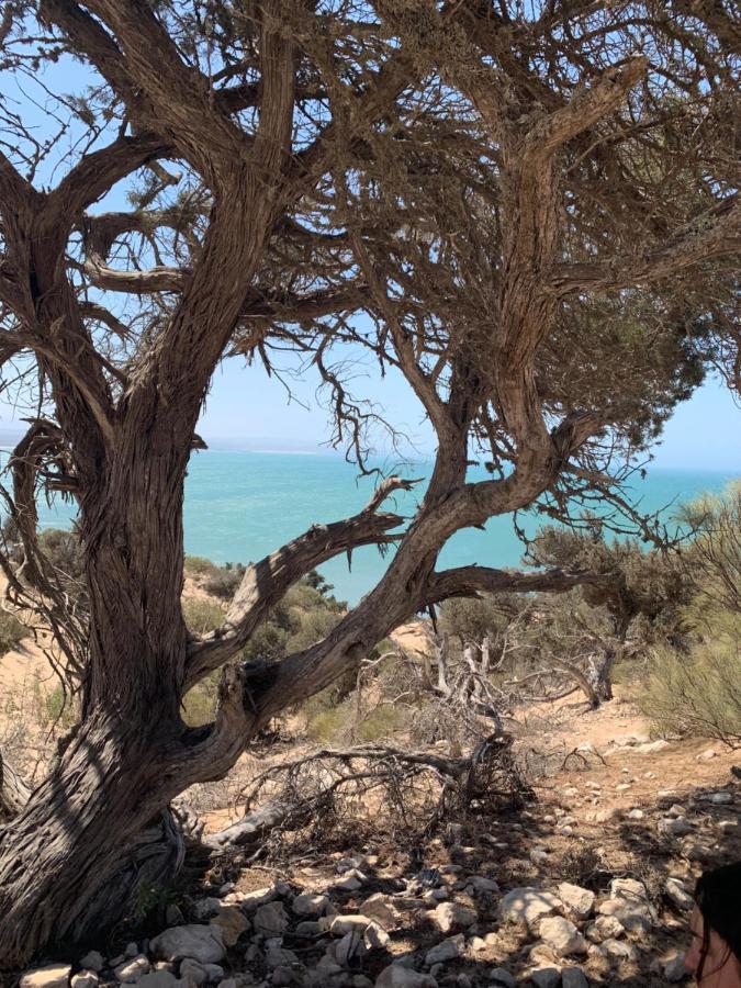 Dar Gecko Hotel Sidi Kaouki Buitenkant foto